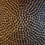 Yellow brass plates for wall decoration.